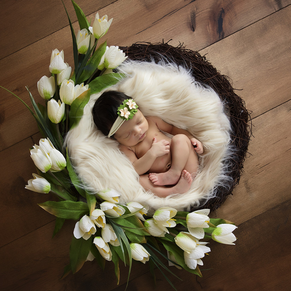 Portfolio Images_16